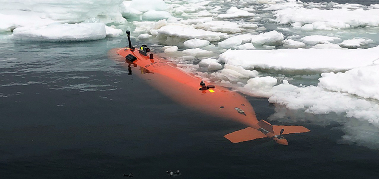 Robot in Antarctica